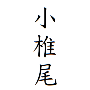 小椎尾さんの名字の由来や読み方 全国人数 順位 名字検索no 1 名字由来net 日本人の苗字 姓氏99 を掲載
