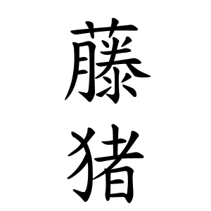 藤猪さんの名字の由来や読み方 全国人数 順位 名字検索no 1 名字由来net 日本人の苗字 姓氏99 を掲載